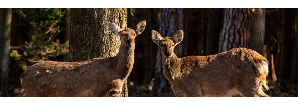 Vi går op i bæredygtighed