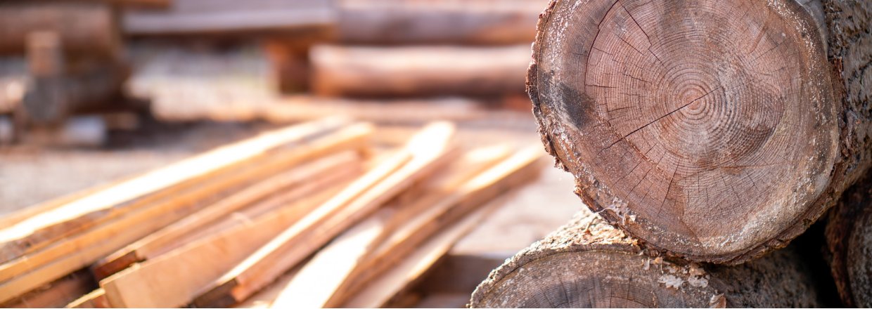 Træ er ikke bare træ.